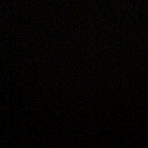 Meet your Posher, Diego